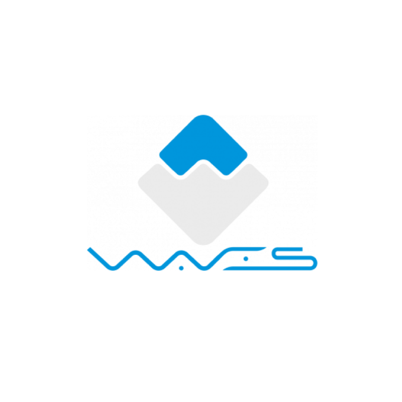 What is Waves blockchain? | WAVES